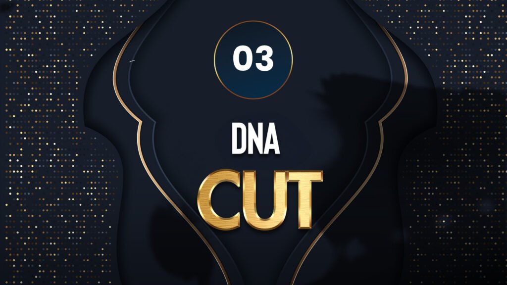 DNA CUT - SaloneXperience